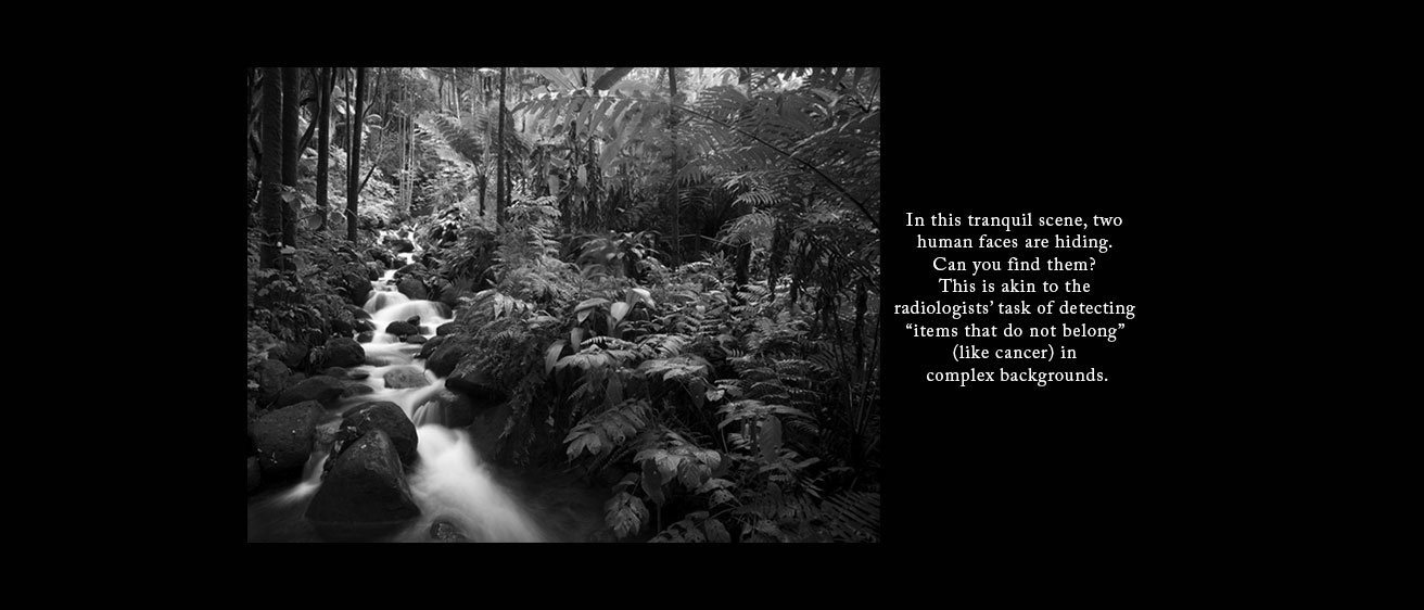 Optical illusion featuring two human faces hidden within a lush forest scene